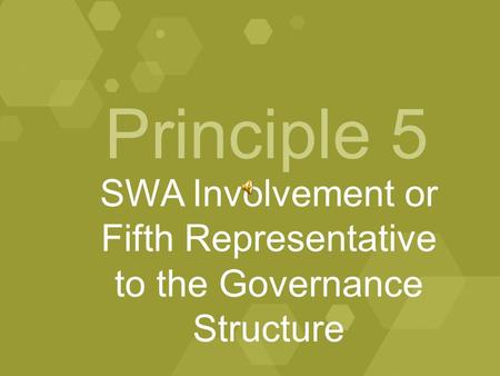 Principle 5 SWA Involvement or Fifth Representative to the Governance Structure.