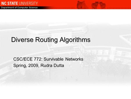 Diverse Routing Algorithms