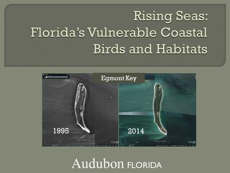 1995 2014 Egmont Key Audubon FLORIDA. Florida’s coastal beaches are prized by millions of people…