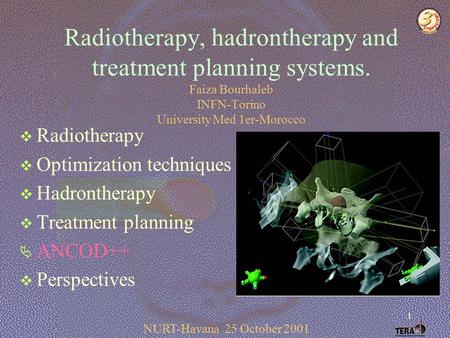 1 Radiotherapy, hadrontherapy and treatment planning systems. Faiza Bourhaleb INFN-Torino University Med 1er-Morocco  Radiotherapy  Optimization techniques.