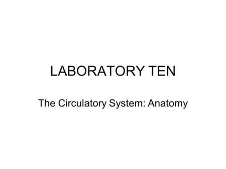 LABORATORY TEN The Circulatory System: Anatomy. Sheep Heart Dissection Identify the assigned superficial structures on p174, #3. Make a coronal section.