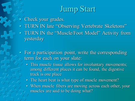 Jump Start Check your grades.Check your grades. TURN IN late “Observing Vertebrate Skeletons”TURN IN late “Observing Vertebrate Skeletons” TURN IN the.