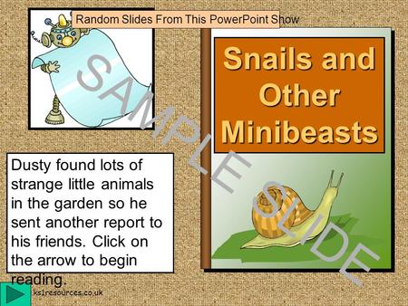 www.ks1resources.co.uk Snails and Other Minibeasts Dusty found lots of strange little animals in the garden so he sent another report to his friends.