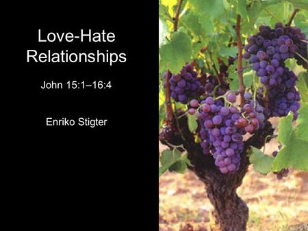 Love-Hate Relationships John 15:1–16:4 Enriko Stigter.