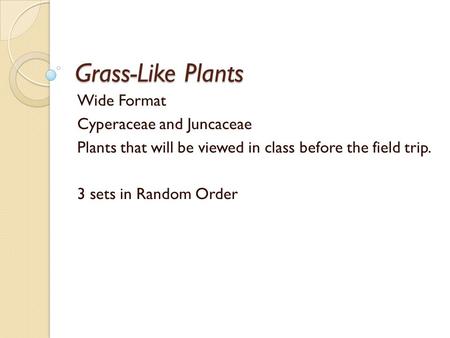 Grass-Like Plants Wide Format Cyperaceae and Juncaceae Plants that will be viewed in class before the field trip. 3 sets in Random Order.