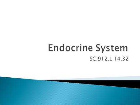 SC.912.L.14.32.  What organs are part of the endocrine system?  What functions do their hormones control?