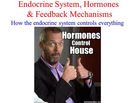 Endocrine System, Hormones & Feedback Mechanisms