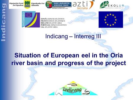 Séminaire Indicang 18 et 19 mai 2005 Indicang – Interreg III Situation of European eel in the Oria river basin and progress of the project.