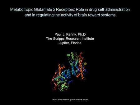 Metabotropic Glutamate 5 Receptors: Role in drug self-administration and in regulating the activity of brain reward systems Paul J. Kenny, Ph.D The Scripps.