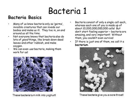 Bacteria 1 Bacteria Basics Many of us know bacteria only as ‘germs’, invisible creatures that can invade our bodies and make us ill. They live in, on and.