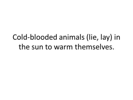 Cold-blooded animals (lie, lay) in the sun to warm themselves.