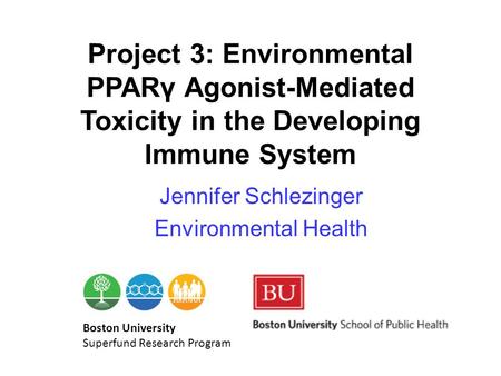 Project 3: Environmental PPARγ Agonist-Mediated Toxicity in the Developing Immune System Jennifer Schlezinger Environmental Health Boston University Superfund.