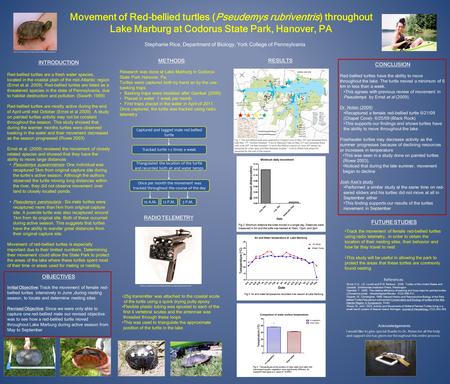 Movement of Red-bellied turtles (Pseudemys rubriventris) throughout Lake Marburg at Codorus State Park, Hanover, PA Stephanie Rice, Department of Biology,