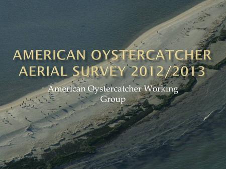 American Oystercatcher Working Group.  Timeframe: January/early February 2013  Follows protocol from 2003 survey with key modifications  Survey windows: