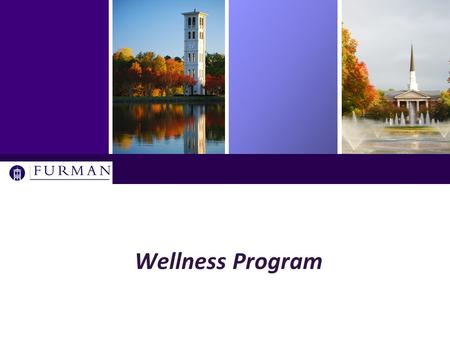 Wellness Program. History of the Wellness Initiative  An employee benefits committee project  Discussions initiated in spring 2013  Forums, meetings,