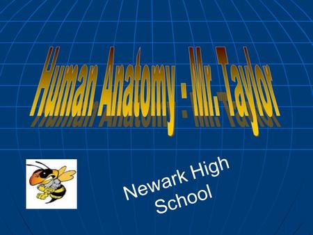 Newark High School. Definitions Anatomy: The study of structure and shape of body parts and their relationships to one another. The study of structure.