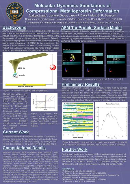 Molecular Dynamics Simulations of Compressional Metalloprotein Deformation Andrew Hung 1, Jianwei Zhao 2, Jason J. Davis 2, Mark S. P. Sansom 1 1 Department.