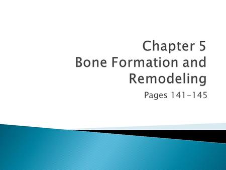 Chapter 5 Bone Formation and Remodeling