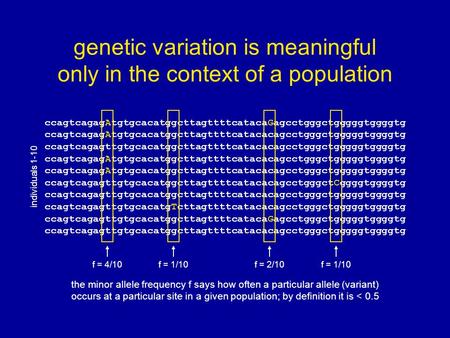 genetic variation is meaningful only in the context of a population