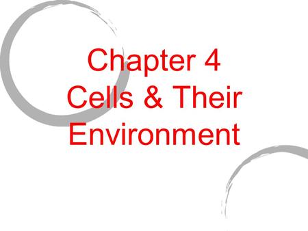 Chapter 4 Cells & Their Environment. DO NOW 1) Grab a Chapter 4 packet 2) Try to answer questions 1 & 2 on page one 3) Wait quietly to begin.