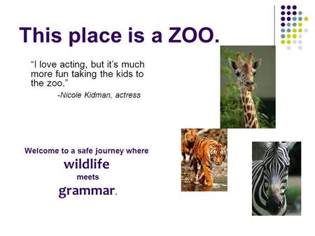 This place is a ZOO. “I love acting, but it’s much more fun taking the kids to the zoo.” -Nicole Kidman, actress Welcome to a safe journey where wildlife.