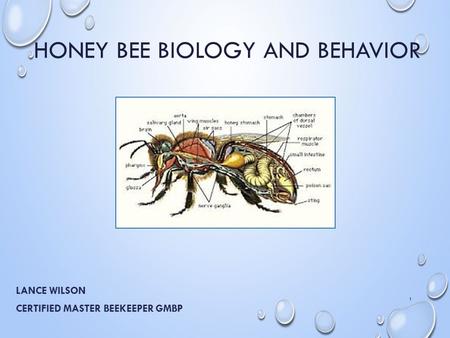 HONEY BEE BIOLOGY AND BEHAVIOR LANCE WILSON CERTIFIED MASTER BEEKEEPER GMBP 1.