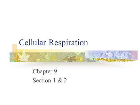 Cellular Respiration Chapter 9 Section 1 & 2. Food serves as the source of energy for cells. A Calorie – is the amount of energy needed to raise the temperature.