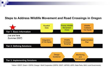 (we are here Summer 2007). Keeping It Simple - Easy Ways to Help Wildlife Along Roads Critter Crossings Linking Habitats and Reducing Roadkill