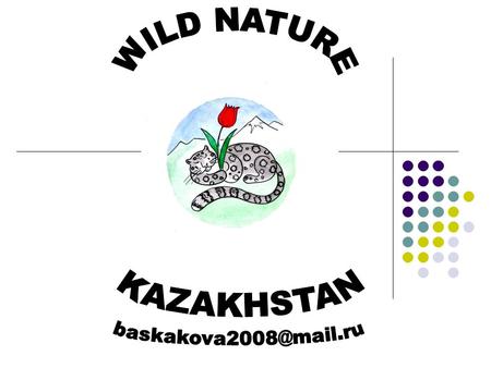 THE MAIN GOALS OF WILD NATURE NGO WILDLIFE CONSERVATION ECOLOGICAL EDUCATION ECOTOURISM.