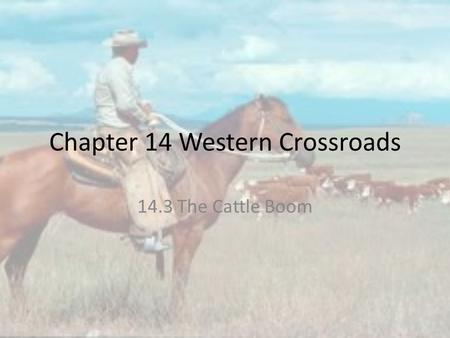 Chapter 14 Western Crossroads 14.3 The Cattle Boom.