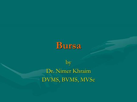 Bursa by Dr. Nimer Khraim DVMS, BVMS, MVSc. Bursa Anatomical bursa true bursaAnatomical bursa true bursa Pathological bursaPathological bursa.