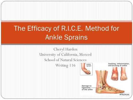 Cheryl Harden University of California, Merced School of Natural Sciences Writing 116 The Efficacy of R.I.C.E. Method for Ankle Sprains.