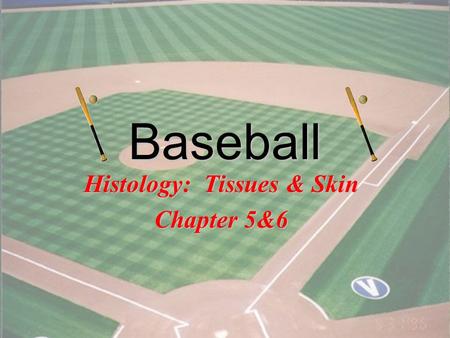 1 Baseball Histology: Tissues & Skin Chapter 5&6.