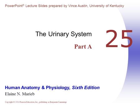 Copyright © 2004 Pearson Education, Inc., publishing as Benjamin Cummings Human Anatomy & Physiology, Sixth Edition Elaine N. Marieb PowerPoint ® Lecture.