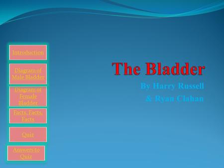 By Harry Russell & Ryan Clahan Diagram of Female Bladder Diagram of Female Bladder Diagram of Male Bladder Diagram of Male Bladder Introduction Facts,