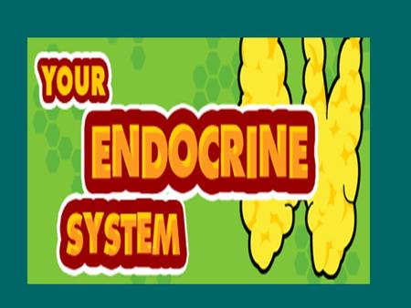 The Endocrine System By: Imani Elston and Kristin Hildreth Period 5.