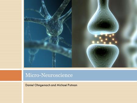 Micro-Neuroscience Daniel Ohngemach and Michael Putman.