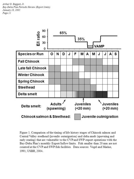 Species or RunONDJFMAMJJAS Fall Chinook Late fall Chinook Winter Chinook Spring Chinook Steelhead Delta smelt Figure 1. Comparison of the timing of life.