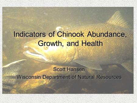 Indicators of Chinook Abundance, Growth, and Health Scott Hansen Wisconsin Department of Natural Resources.