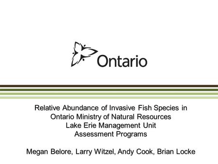 Relative Abundance of Invasive Fish Species in Ontario Ministry of Natural Resources Lake Erie Management Unit Assessment Programs Megan Belore, Larry.