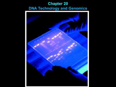 Chapter 20 DNA Technology and Genomics. Viruses have restriction enzymes to attack and destroy invading viral DNA. Restriction enzymes cut DNA at specific.