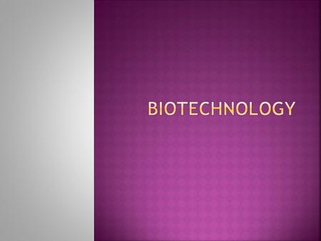  What is it?  What are they?  What is it?  How does it work?  DNA is isolated  DNA is copied with PCR  Cut with restriction enzymes  Run through.