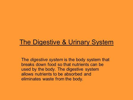 The Digestive & Urinary System The digestive system is the body system that breaks down food so that nutrients can be used by the body. The digestive system.