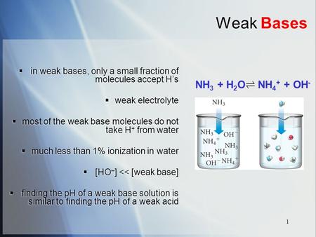 Weak Bases NH3 + H2O NH4+ + OH-