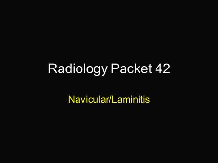 Radiology Packet 42 Navicular/Laminitis. 14-year old Arabian Mare “Missy” Hx: 5 month history of forelimb laminitis. Lateral radiographs of each forefoot.