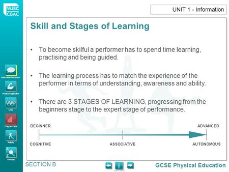 GCSE Physical Education Information/Discussion Practical Application Links Diagram/Table Activity Revision MAIN MENU Skill and Stages of Learning SECTION.