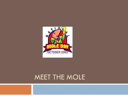 Meet the Mole.