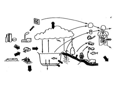 Objectives: to formalize the relationship between the properties of the chemical and its environmental behaviour. to apply these relationship to develop.