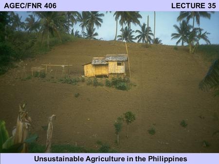 AGEC/FNR 406 LECTURE 35 Unsustainable Agriculture in the Philippines.