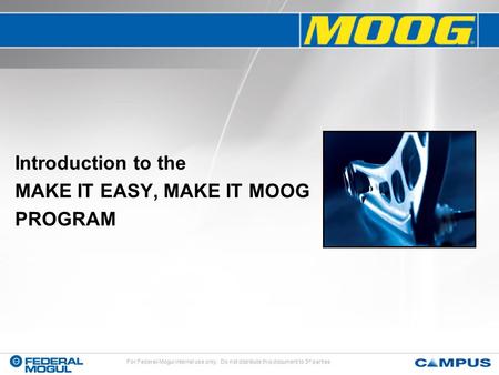 Introduction to the MAKE IT EASY, MAKE IT MOOG PROGRAM